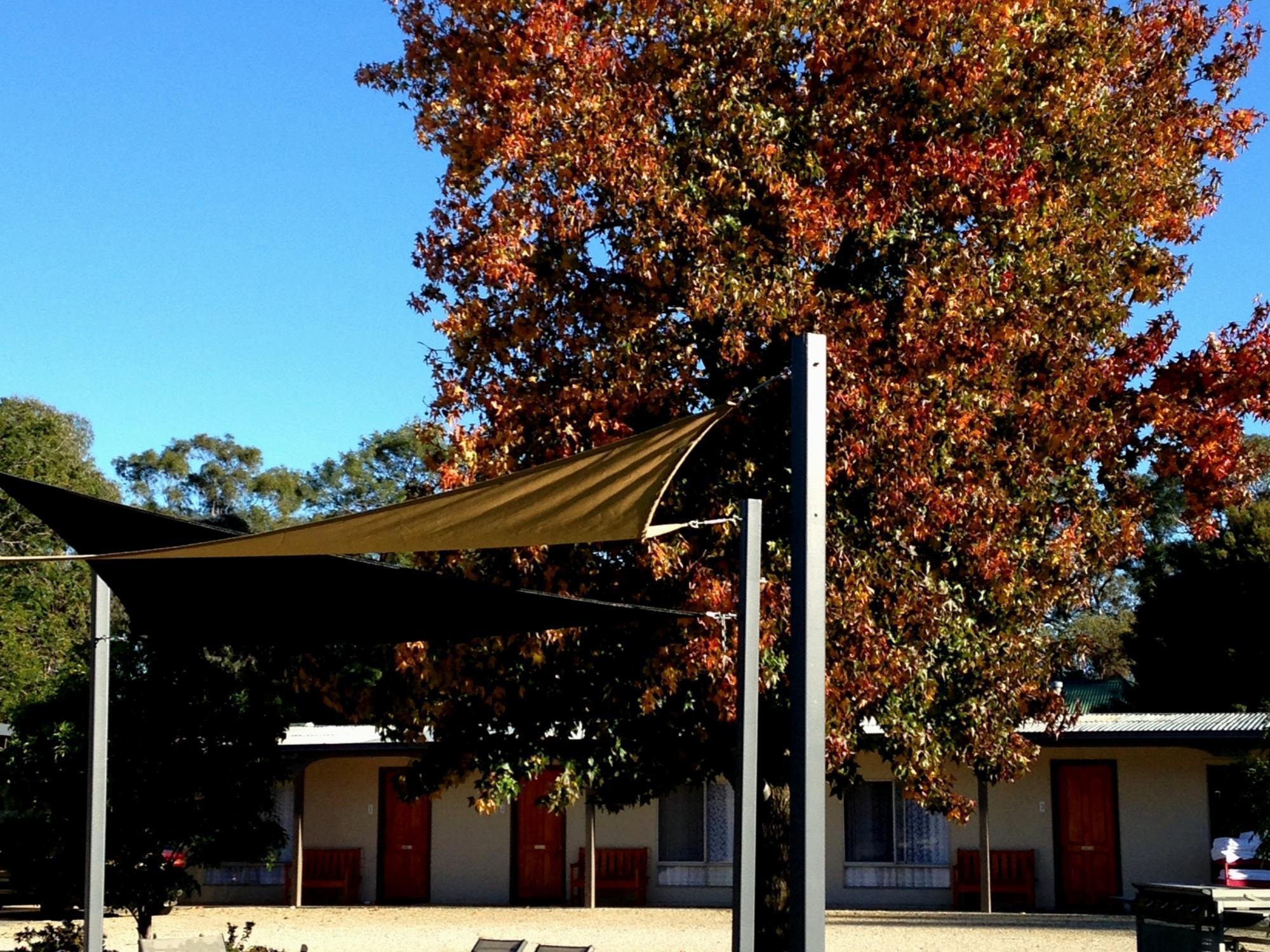 Euroa Motor Inn Exterior photo